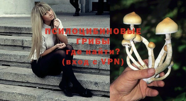 ПСИЛОЦИБИНОВЫЕ ГРИБЫ Белоозёрский