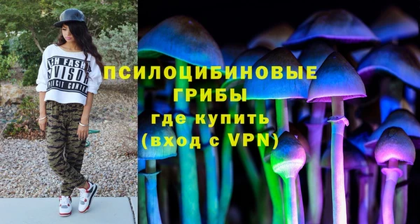 ПСИЛОЦИБИНОВЫЕ ГРИБЫ Белоозёрский