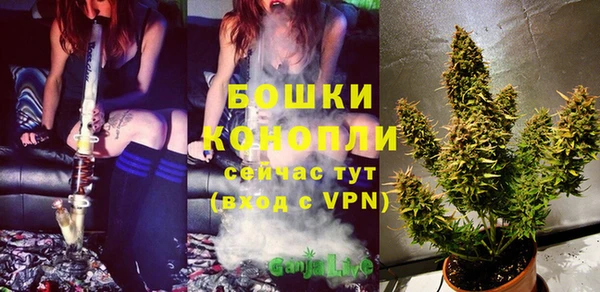 ПСИЛОЦИБИНОВЫЕ ГРИБЫ Белоозёрский